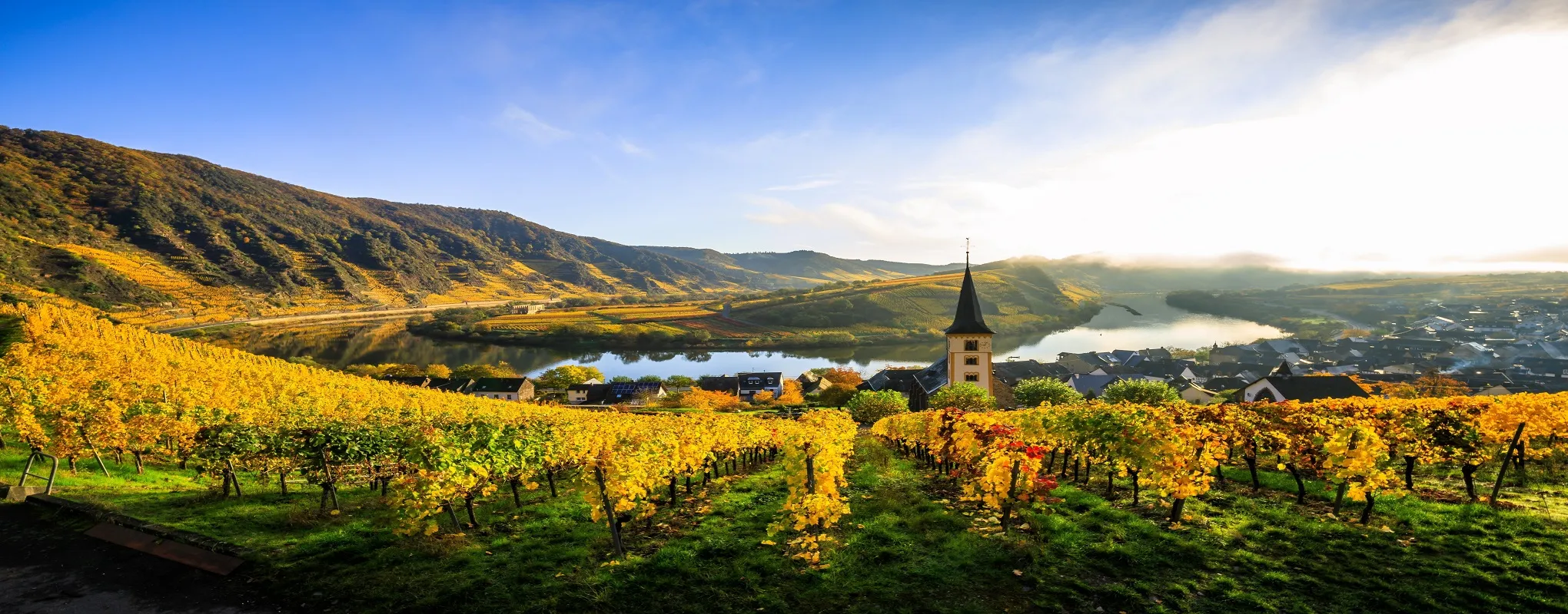 Herbstliche Weinberge am Fluss mit Dorf und Kirchturm im Morgenlicht.