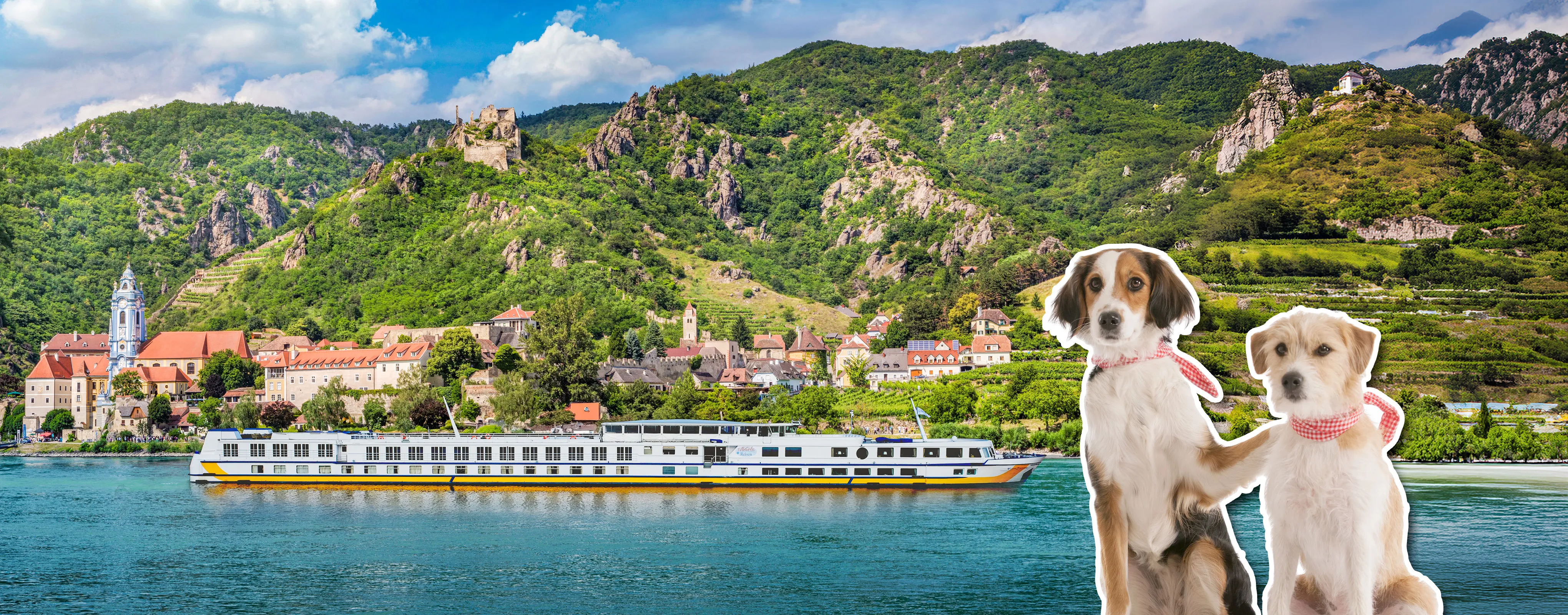 Fröhlicher Hund im Auto, genießt die Fahrt durch die Natur.