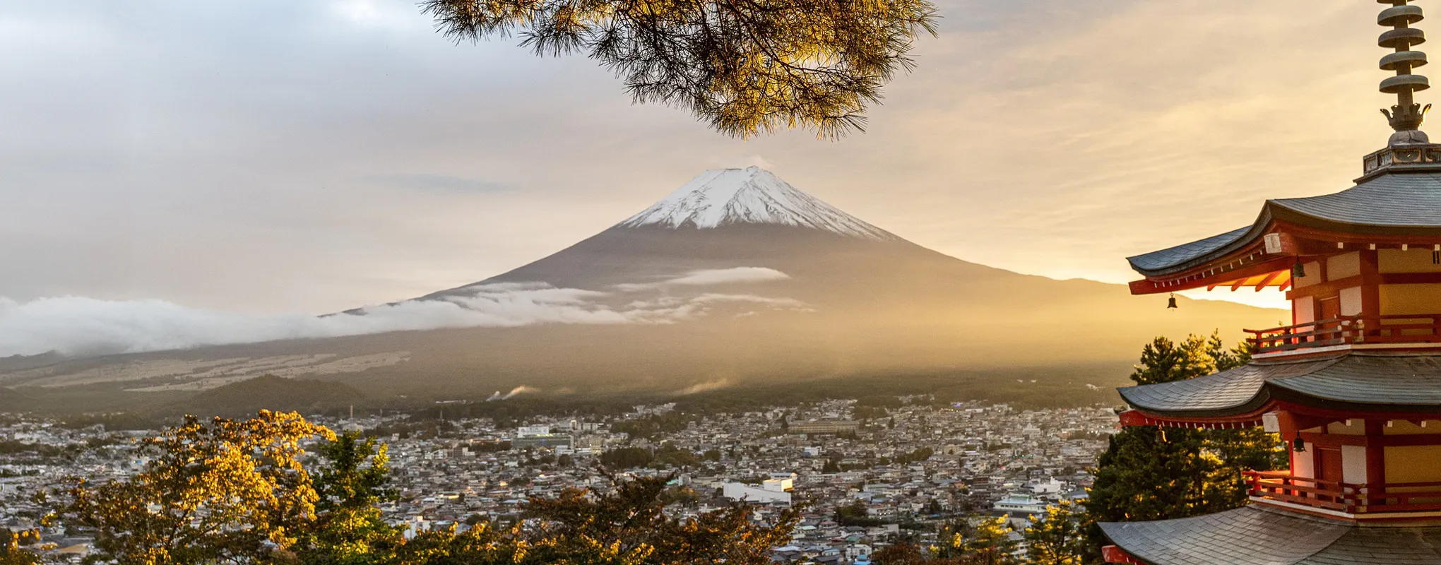 Blick auf den Fuji und Pagode im goldenen Abendlicht.
