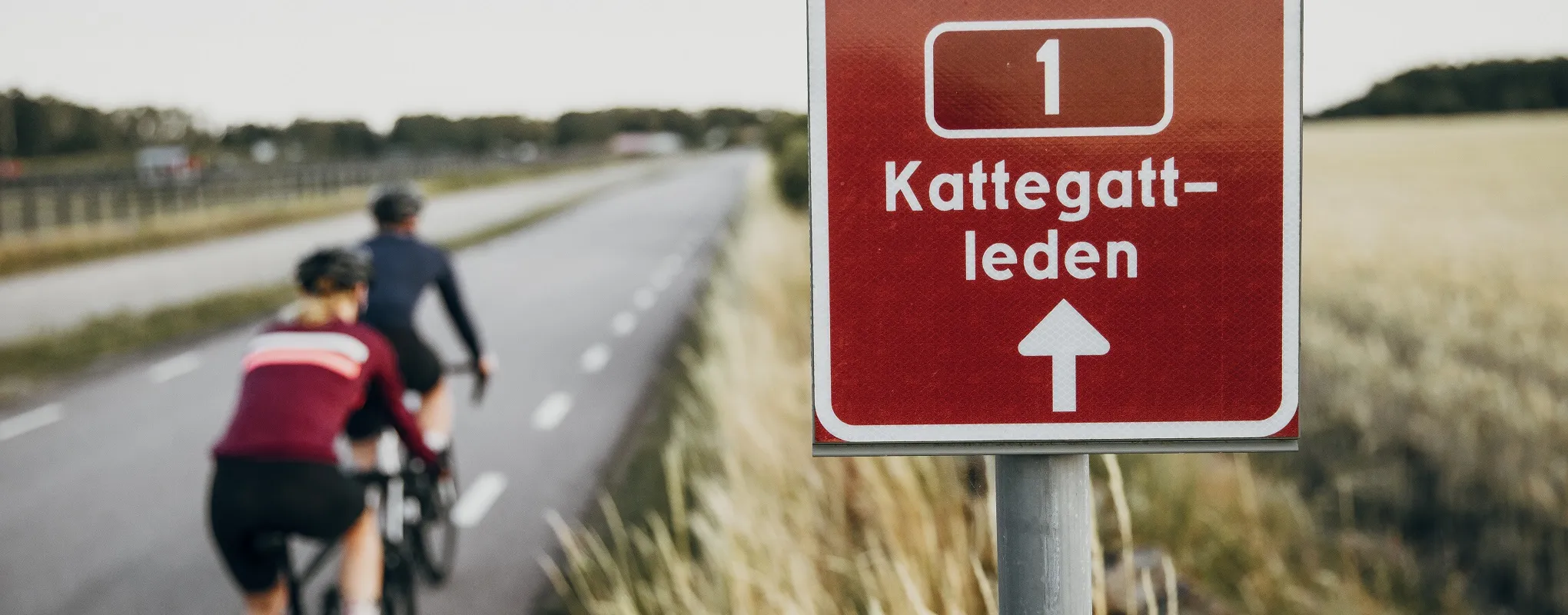 Radfahrer auf Kattegattleden, Schweden, neben Wegweiser, ländliche Idylle.