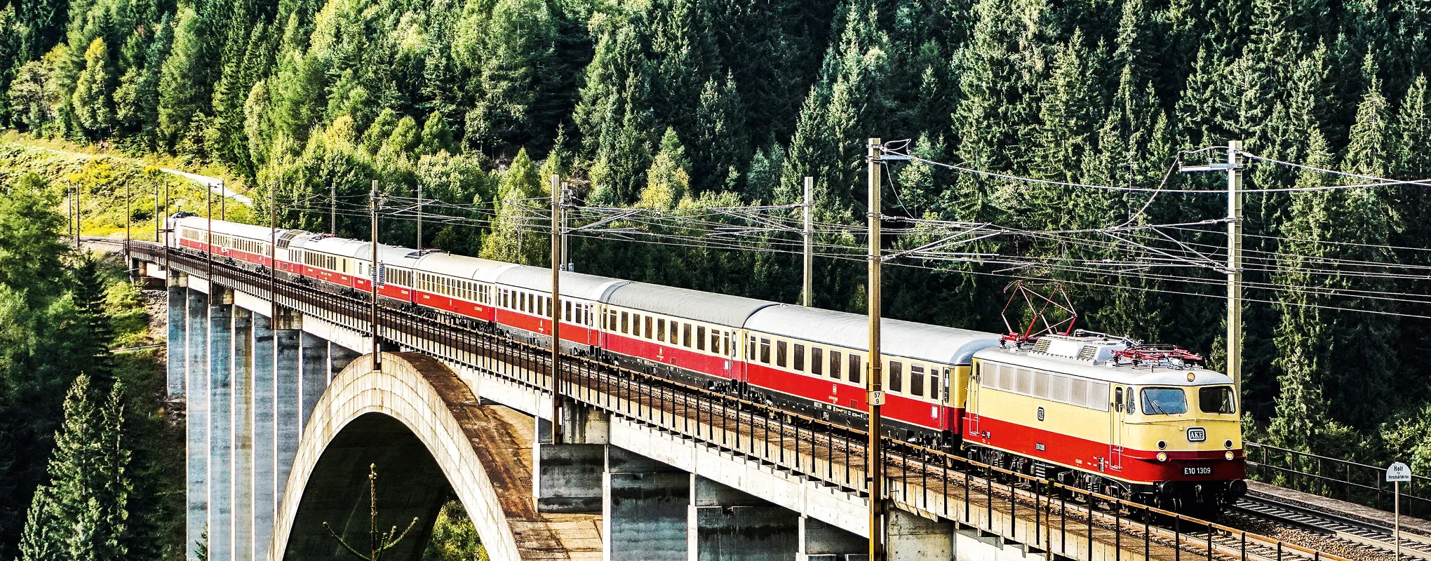 Sonderzug auf Brücke in Waldlandschaft, sonnige Stimmung.