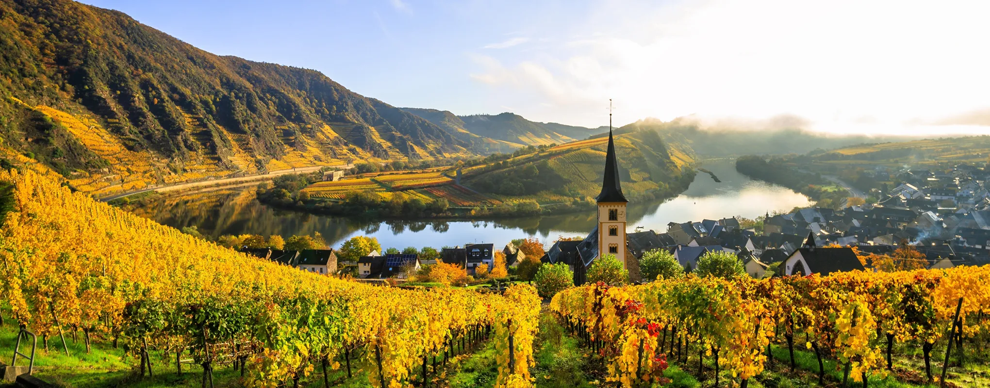 Herbstliche Weinberge an der Mosel mit malerischem Flussblick.