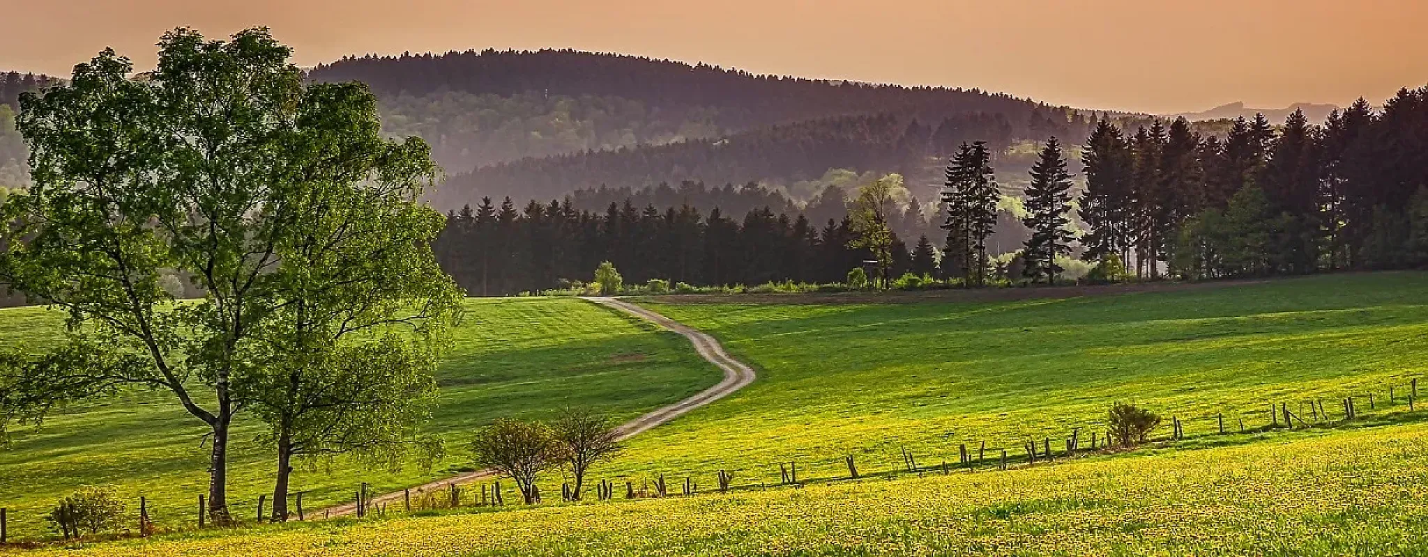 Idyllische Landschaft mit Wiesen, Bäumen und sanften Hügeln.