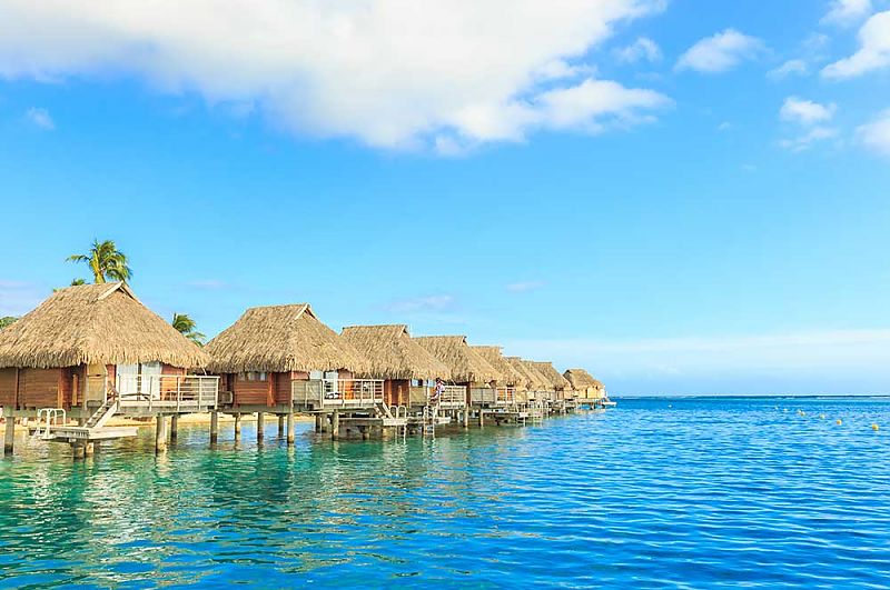 shutterstock_505921240