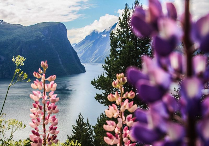 Geirangerfjord im Frühling
