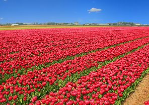 Kurzurlaub Holland Kurzurlaub Holland