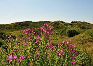 Langeoog