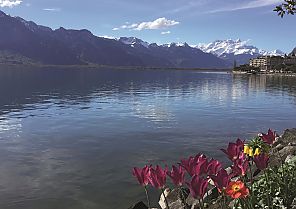 Montreux – Perle am Genfer See 2022
