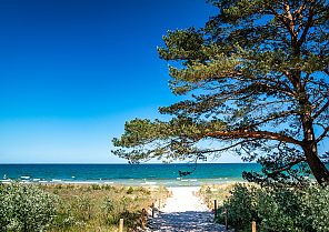 Wohlfühl-Urlaub auf Rügen