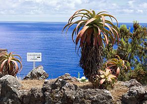 Azoren & Madeira Azoren & Madeira