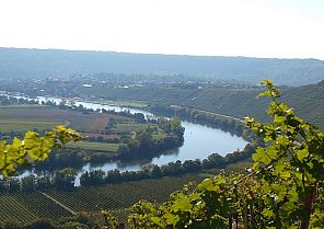 Rhein-Neckar-Idylle 2023