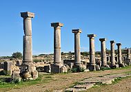 Volubilis