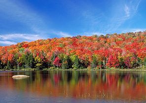 Indian Summer in Neuengland