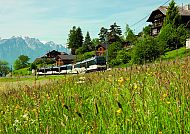 GoldenPass MOB