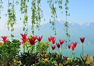 Promenade Montreux