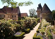 Chateau Losse