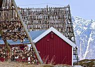 Lofoten
