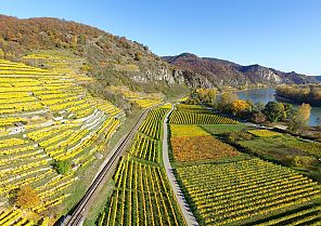 Traumhafte Kreuzfahrt-Höhepunkte entlang von Rhein und Mosel