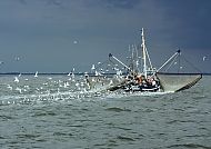 Fischkutter auf der Nordsee