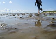 Wattenmeer