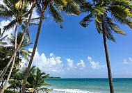 Martinique