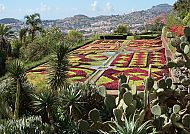 Botanischer Garten