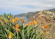 Madeira