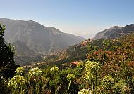 Madeira