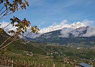 Vinschgau