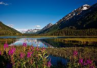 Alaska