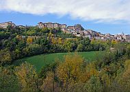 Urbino