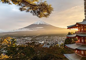 Gingko - Japans goldene Route