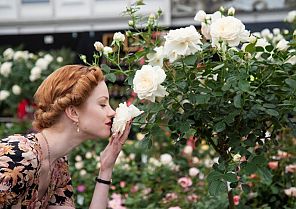 Gartenreise England mit Chelsea Flower Show