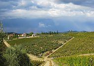 Region Chianti