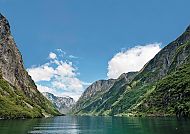 Flaam