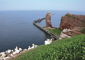Nordseeinseln und Friesland