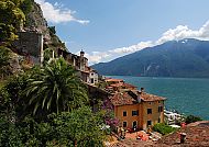 Limone