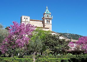 Mallorca zur Mandelblüte 2025