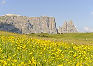 Südtirol Seiser Alm 1