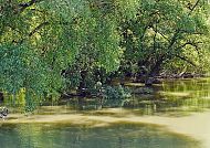 Naturparadies im rumänischen Donaudelta