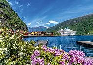 MS Amera in Flam