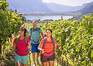 kalterer-see-weingarten-wanderer
