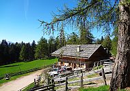 moelten-alm