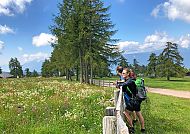 aussicht-geniessen