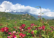 bozen-blumenwiese