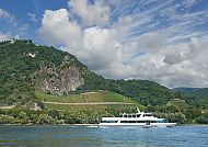 Rhein mit Blick auf den Drachenfels