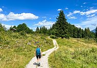 wanderreisen-zugspitze-wanderweg-garmisch-wanderin