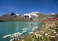 Bernina Express am Lago Bianco