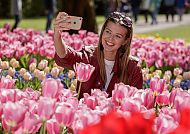 Keukenhof, Frau macht Selfie inmitten blühender Tulpen im Keukenhof.