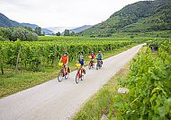 Radreisen-Donauradweg-Weingarten